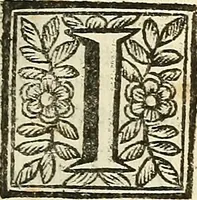 An illustration from Oculorum, et mentis vigiliae ad distinguendum studium anatomicum, et ad praxin medicam dirigendam : accedit Mantissa subsidiaria de vi indicationis à parte, et de usu microscopii (1704)