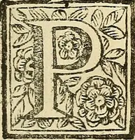 An illustration from Oculorum, et mentis vigiliae ad distinguendum studium anatomicum, et ad praxin medicam dirigendam : accedit Mantissa subsidiaria de vi indicationis à parte, et de usu microscopii (1704)