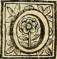 An illustration from Oculorum, et mentis vigiliae ad distinguendum studium anatomicum, et ad praxin medicam dirigendam : accedit Mantissa subsidiaria de vi indicationis à parte, et de usu microscopii (1704)