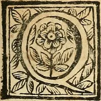 An illustration from Oculorum, et mentis vigiliae ad distinguendum studium anatomicum, et ad praxin medicam dirigendam : accedit Mantissa subsidiaria de vi indicationis à parte, et de usu microscopii (1704)