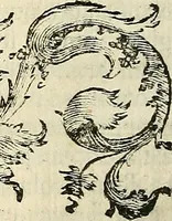 An illustration from Oculorum, et mentis vigiliae ad distinguendum studium anatomicum, et ad praxin medicam dirigendam : accedit Mantissa subsidiaria de vi indicationis à parte, et de usu microscopii (1704)