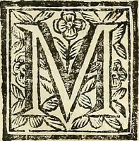 An illustration from Oculorum, et mentis vigiliae ad distinguendum studium anatomicum, et ad praxin medicam dirigendam : accedit Mantissa subsidiaria de vi indicationis à parte, et de usu microscopii (1704)