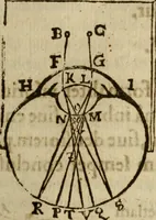 An illustration from Oculus hoc est : fundamentum opticum in quo ex accurata oculi anatome, abstrusarum experientiarum sedula pervestigatione, ex inuisis specierum visibilium tam euerso quam erecto situ spectaculis, necnon solidis rationum momentis radius visualis eruitur sua visioni in oculo sedes decernitur, angvli visorii ingenium aperitur ... (1619)