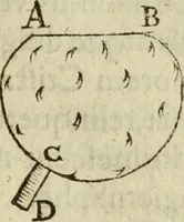 An illustration from Oculus hoc est : fundamentum opticum in quo ex accurata oculi anatome, abstrusarum experientiarum sedula pervestigatione, ex inuisis specierum visibilium tam euerso quam erecto situ spectaculis, necnon solidis rationum momentis radius visualis eruitur sua visioni in oculo sedes decernitur, angvli visorii ingenium aperitur ... (1619)