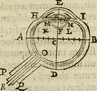 An illustration from Oculus hoc est : fundamentum opticum in quo ex accurata oculi anatome, abstrusarum experientiarum sedula pervestigatione, ex inuisis specierum visibilium tam euerso quam erecto situ spectaculis, necnon solidis rationum momentis radius visualis eruitur sua visioni in oculo sedes decernitur, angvli visorii ingenium aperitur ... (1619)