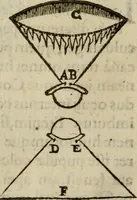 An illustration from Oculus hoc est : fundamentum opticum in quo ex accurata oculi anatome, abstrusarum experientiarum sedula pervestigatione, ex inuisis specierum visibilium tam euerso quam erecto situ spectaculis, necnon solidis rationum momentis radius visualis eruitur sua visioni in oculo sedes decernitur, angvli visorii ingenium aperitur ... (1619)