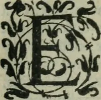 Picture 146 of 175 from Oeuures morales et diuersifiees en histoires, pleines de beaux exemples, enrichies d'enseignemens vertueux, & embellies de plusieurs sentences & discours. Lé tout tiré des plus signalez & remarquables autheurs grecs, latins & françois, qui ont escrit de tout temps, pour l'enseignement de toutes personnes, qui aspirent à vertu & philosphie chrestienne. Reueues, corrigées & augmentées de plus des deux tiers, outre la precedente impression (1584), leaf 1096