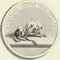An illustration from Oeuvre du chevalier Hedlinger, ou, Recueil des medailles de ce celebre artiste, gravées en taille douce, accompagnées d'une explication historique et critique, et précédées de la vie de l'auteur (1778)
