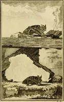 Picture 36 of 40 from Œuvres complètes de M. le C[om]te de Buffon ... : histoire des animaux quadrupèdes (1775), leaf 396