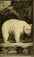 Picture 6 of 31 from Œuvres complètes de M. le C[om]te de Buffon ... : histoire des animaux quadrupèdes (1775), leaf 52
