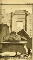 Picture 22 of 31 from Œuvres complètes de M. le C[om]te de Buffon ... : histoire des animaux quadrupèdes (1775), leaf 214