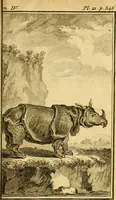 An illustration from Œuvres complètes de M. le C[om]te de Buffon ... : histoire des animaux quadrupèdes (1775)