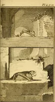 Picture 9 of 31 from Œuvres complètes de M. le C[om]te de Buffon ... : histoire des animaux quadrupèdes (1775), leaf 88
