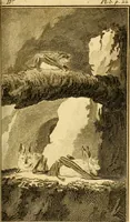 An illustration from Œuvres complètes de M. le C[om]te de Buffon ... : histoire des animaux quadrupèdes (1775)