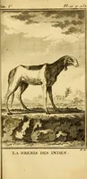 Picture 13 of 38 from Œuvres complètes de M. le C[om]te de Buffon ... : histoire des animaux quadrupèdes (1775), leaf 180