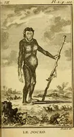 Picture 3 of 52 from Œuvres complètes de M. le C[om]te de Buffon ... : histoire des animaux quadrupèdes (1775), leaf 110