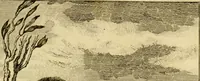 An illustration from Œuvres complètes de M. le C[om]te de Buffon ... : histoire des animaux quadrupèdes (1775)