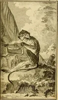 An illustration from Œuvres complètes de M. le C[om]te de Buffon ... : histoire des animaux quadrupèdes (1775)
