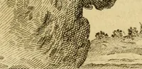 An illustration from Œuvres complètes de M. le C[om]te de Buffon ... : histoire des animaux quadrupèdes (1775)