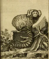 Picture 48 of 52 from Œuvres complètes de M. le C[om]te de Buffon ... : histoire des animaux quadrupèdes (1775), leaf 410