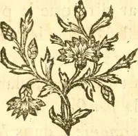 An illustration from Oeuvres complètes ... contenant différents traités sur la théorie de la peinture. Traduit de l'Italien (1786)