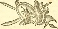 An illustration from Oeuvres complètes ... contenant différents traités sur la théorie de la peinture. Traduit de l'Italien (1786)