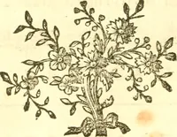 An illustration from Oeuvres complètes ... contenant différents traités sur la théorie de la peinture. Traduit de l'Italien (1786)