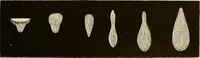 An illustration from Oeuvres ophthalmologiques de Thomas Young (1894)