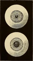 An illustration from Oeuvres ophthalmologiques de Thomas Young (1894)