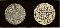 An illustration from Oeuvres ophthalmologiques de Thomas Young (1894)