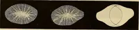 An illustration from Oeuvres ophthalmologiques de Thomas Young (1894)