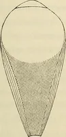An illustration from Oeuvres ophthalmologiques de Thomas Young (1894)