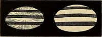 An illustration from Oeuvres ophthalmologiques de Thomas Young (1894)