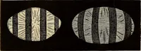 An illustration from Oeuvres ophthalmologiques de Thomas Young (1894)
