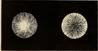 An illustration from Oeuvres ophthalmologiques de Thomas Young (1894)