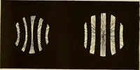 An illustration from Oeuvres ophthalmologiques de Thomas Young (1894)