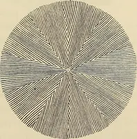 An illustration from Oeuvres ophthalmologiques de Thomas Young (1894)