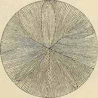 An illustration from Oeuvres ophthalmologiques de Thomas Young (1894)