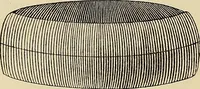 An illustration from Oeuvres ophthalmologiques de Thomas Young (1894)