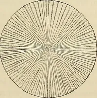 An illustration from Oeuvres ophthalmologiques de Thomas Young (1894)