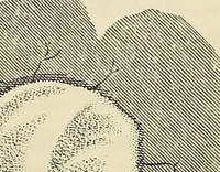An illustration from Oeuvres ophthalmologiques de Thomas Young (1894)