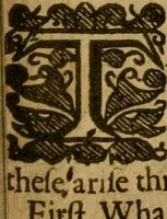 An illustration from Of the confusions and revolutions of governments : Wherein is examined, how farre a man may lawfully conforme to the powers and commands of those who with various successes hold kingdomes divided by civill or forraigne warrs ... Likewise whether the nature of warre be inconsistent with the precepts of the Christian religion? Three parts, with severall additions (1649)