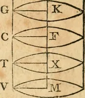 An illustration from The elements of Euclid : viz, the first six books, together with the eleventh and twelfth : the errors, by which Theon, or others, have long ago vitiated these books, are corrected, and some of Euclid's demonstrations are restored : also, The book of Euclid's data, in like manner corrected (1834)