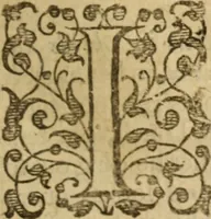 An illustration from The breast plate of faith and love ... : delivered in 18 sermons upon three severall texts (1630)