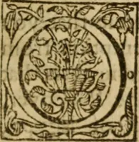 An illustration from The breast plate of faith and love ... : delivered in 18 sermons upon three severall texts (1630)