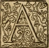 Picture 28 of 31 from The breast plate of faith and love ... : delivered in 18 sermons upon three severall texts (1630), leaf 505
