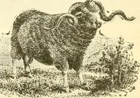 An illustration from Official American textile directory; containing reports of all the textile manufacturing establishments in the United States and Canada, together with the yarn trade index ... Comp. annually by the Textile world journal (1901)