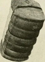 An illustration from Official American textile directory; containing reports of all the textile manufacturing establishments in the United States and Canada, together with the yarn trade index ... Comp. annually by the Textile world journal (1921)