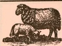 An illustration from Official American textile directory; containing reports of all the textile manufacturing establishments in the United States and Canada, together with the yarn trade index ... Comp. annually by the Textile world journal (1921)
