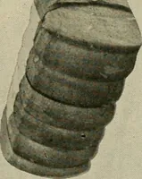 An illustration from Official American textile directory; containing reports of all the textile manufacturing establishments in the United States and Canada, together with the yarn trade index ... Comp. annually by the Textile world journal (1922)